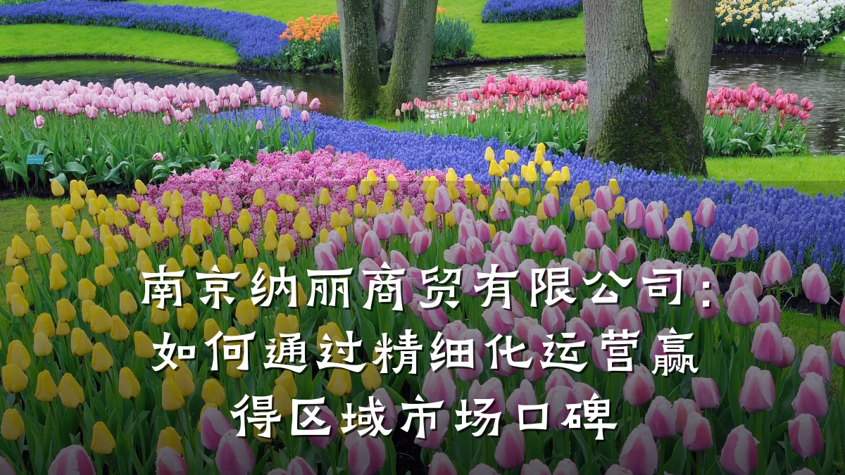 南京纳丽商贸有限公司:如何通过精细化运营赢得区域市场口碑