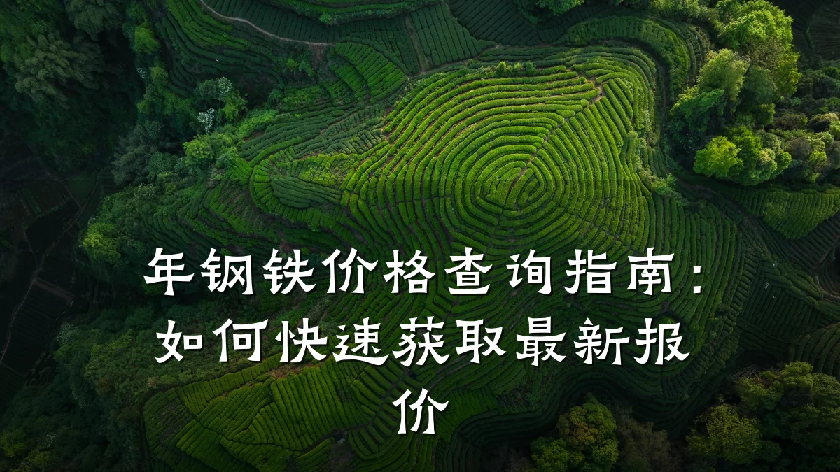 年钢铁价格查询指南:如何快速获取最新报价