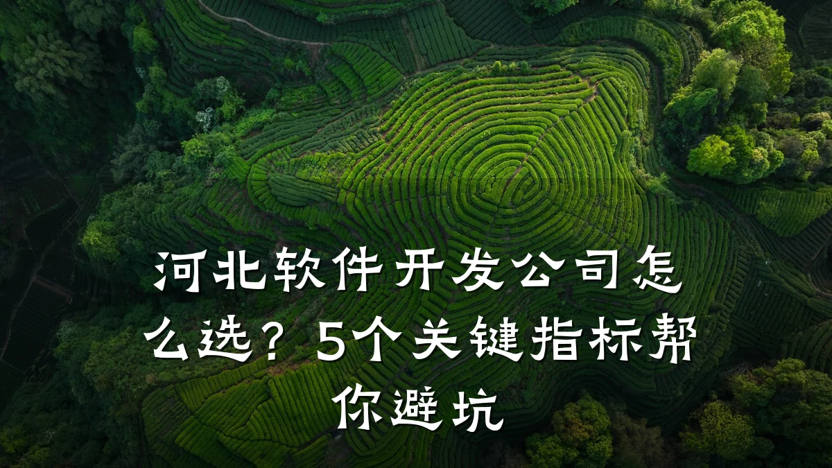 河北软件开发公司怎么选？5个关键指标帮你避坑