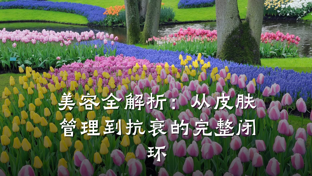 美容全解析:从皮肤管理到抗衰的完整闭环