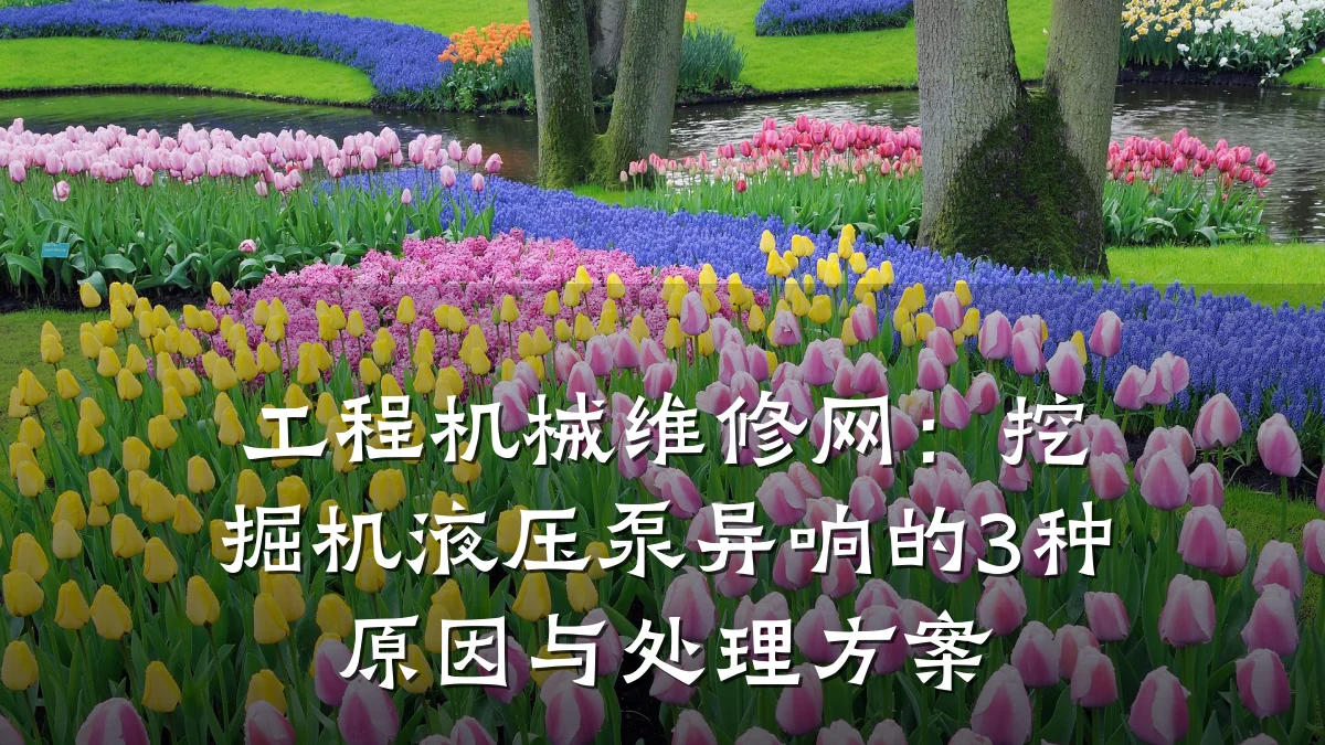 工程机械维修网:挖掘机液压泵异响的3种原因与处理方案