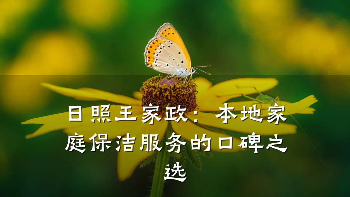 日照王家政:本地家庭保洁服务的口碑之选