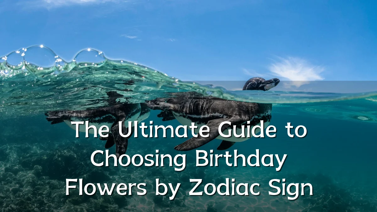 The Ultimate Guide to Choosing Birthday Flowers by Zodiac Sign
