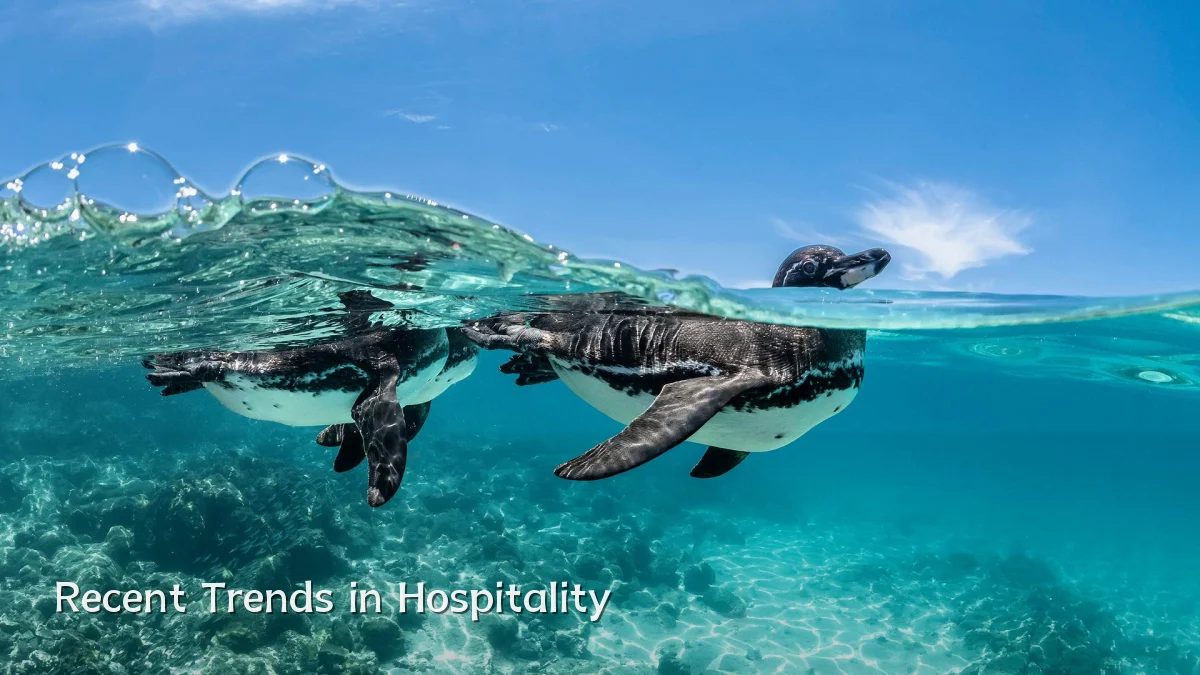 Recent Trends in Hospitality