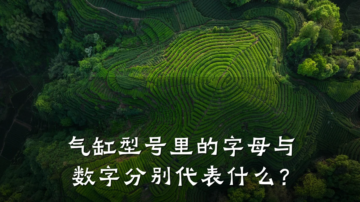 气缸型号里的字母与数字分别代表什么?