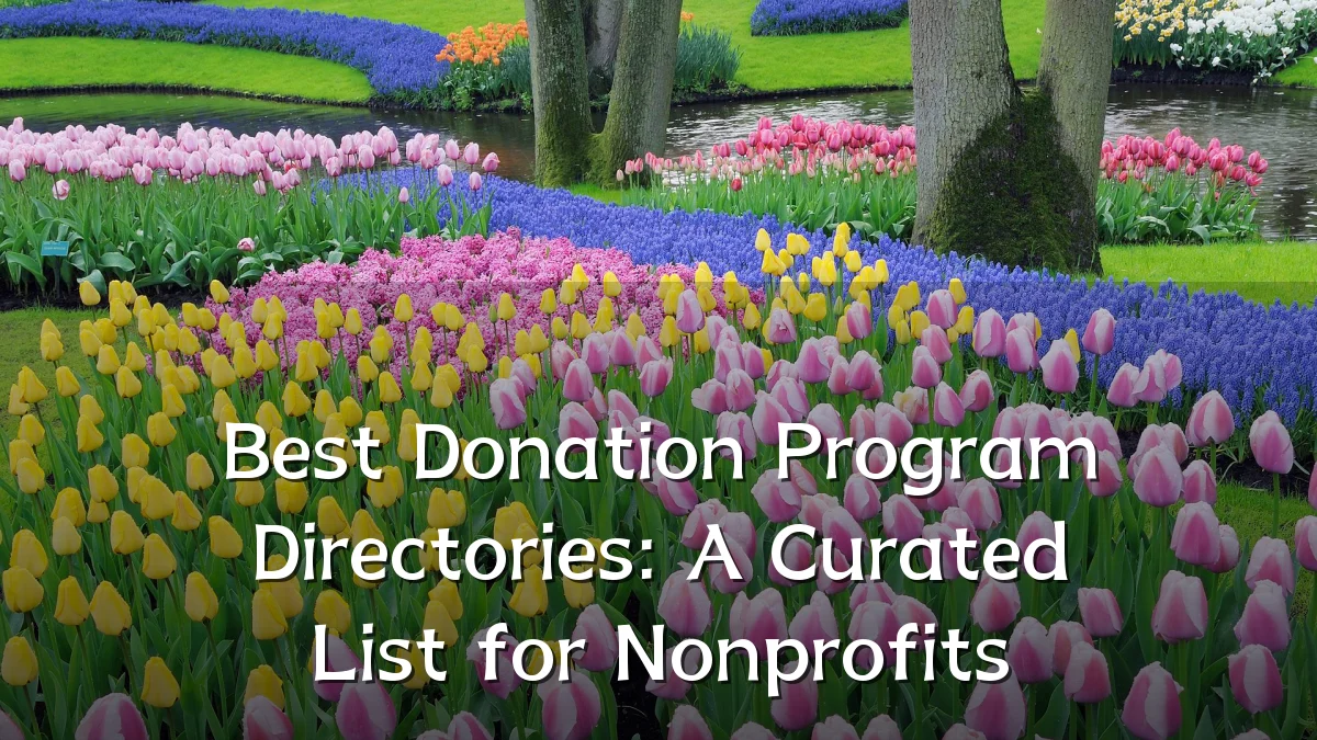 Best Donation Program Directories: A Curated List for Nonprofits