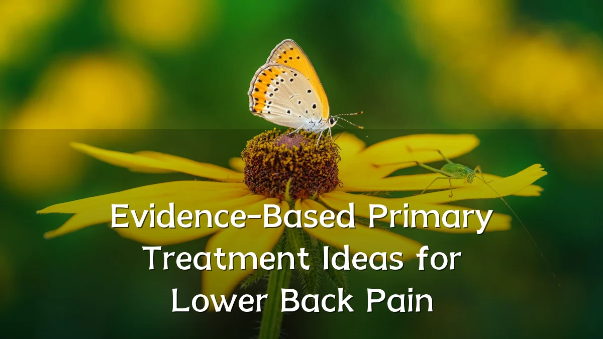 Evidence-Based Primary Treatment Ideas for Lower Back Pain