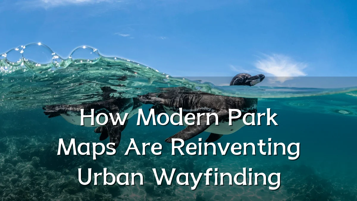 How Modern Park Maps Are Reinventing Urban Wayfinding