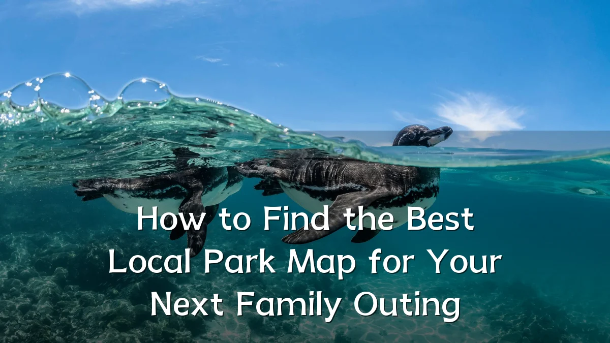 How to Find the Best Local Park Map for Your Next Family Outing