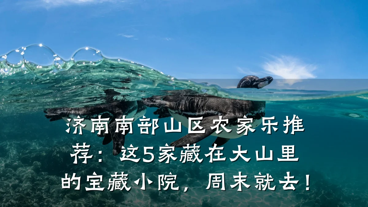 济南南部山区农家乐推荐：这5家藏在大山里的宝藏小院，周末就去！