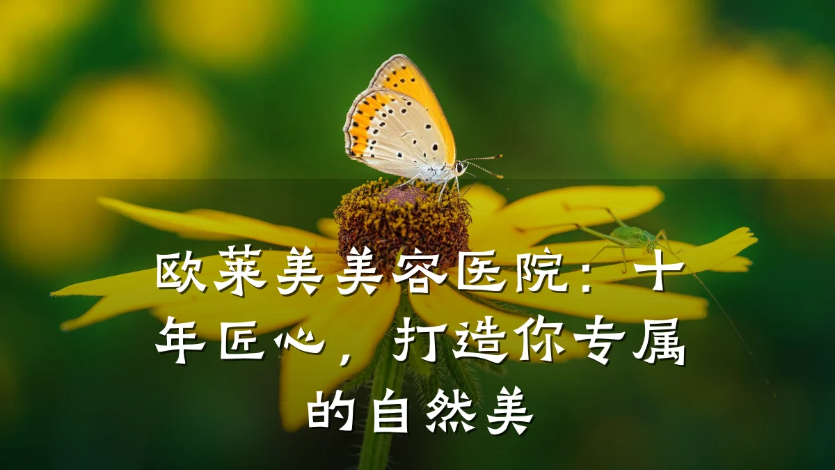 欧莱美美容医院:十年匠心,打造你专属的自然美