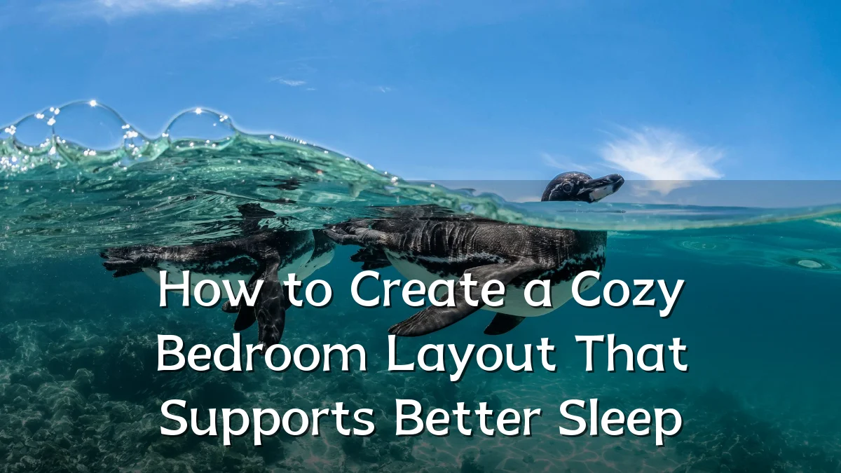 How to Create a Cozy Bedroom Layout That Supports Better Sleep