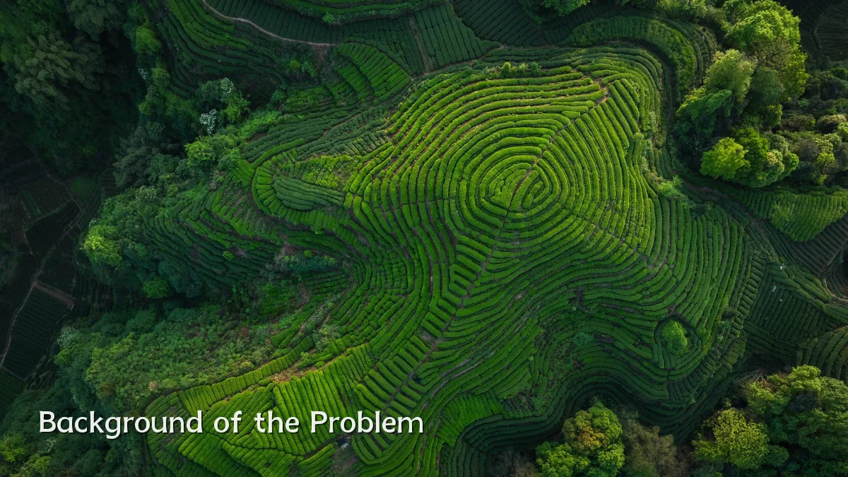 Background of the Problem