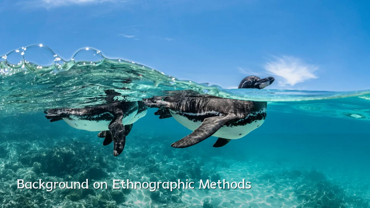 Background on Ethnographic Methods