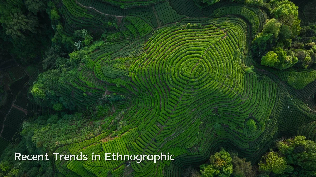 Recent Trends in Ethnographic
