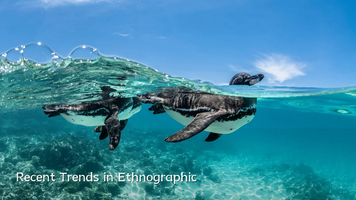 Recent Trends in Ethnographic