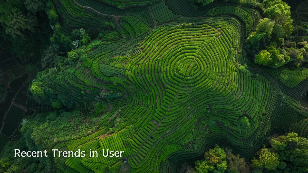 Recent Trends in User