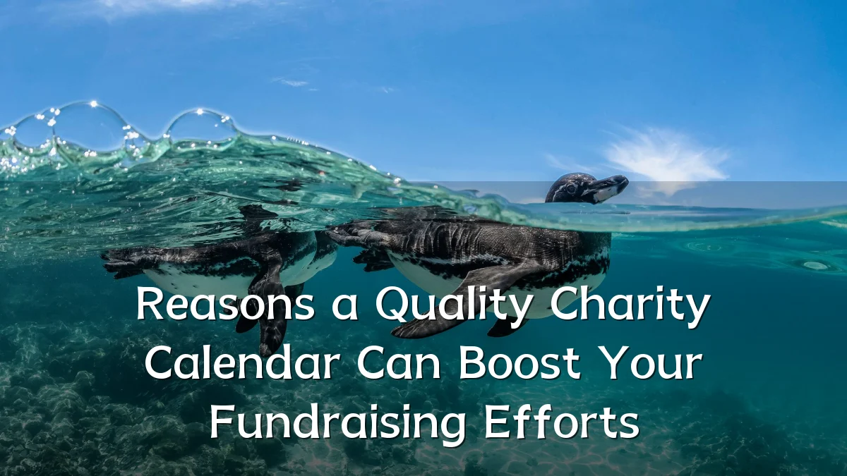Reasons a Quality Charity Calendar Can Boost Your Fundraising Efforts