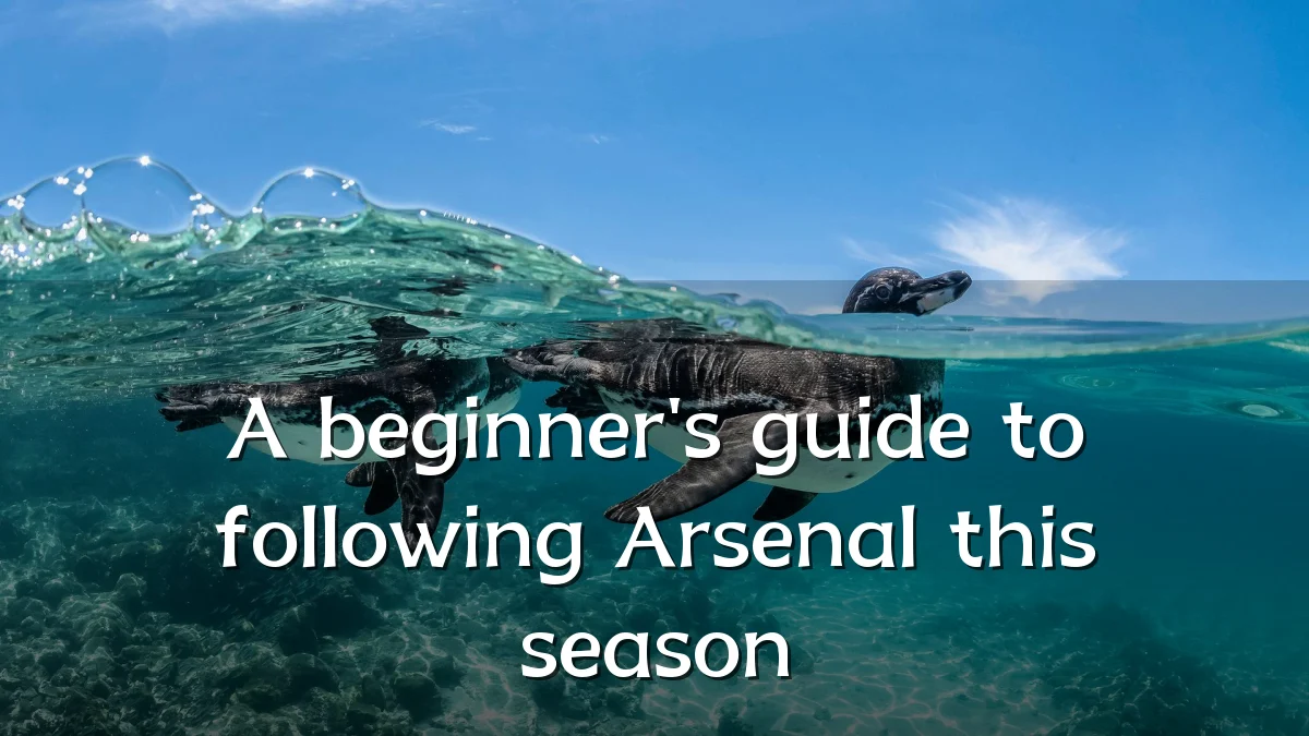 A beginner's guide to following Arsenal this season