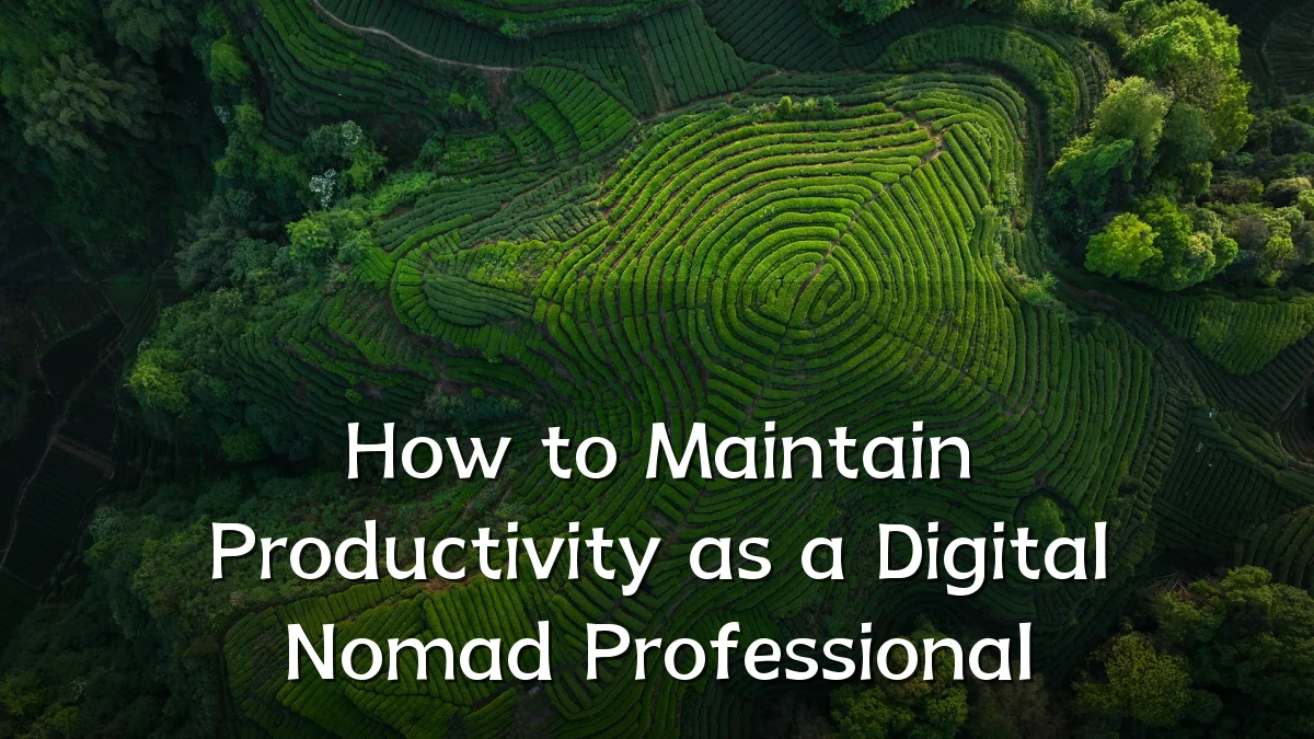 How to Maintain Productivity as a Digital Nomad Professional