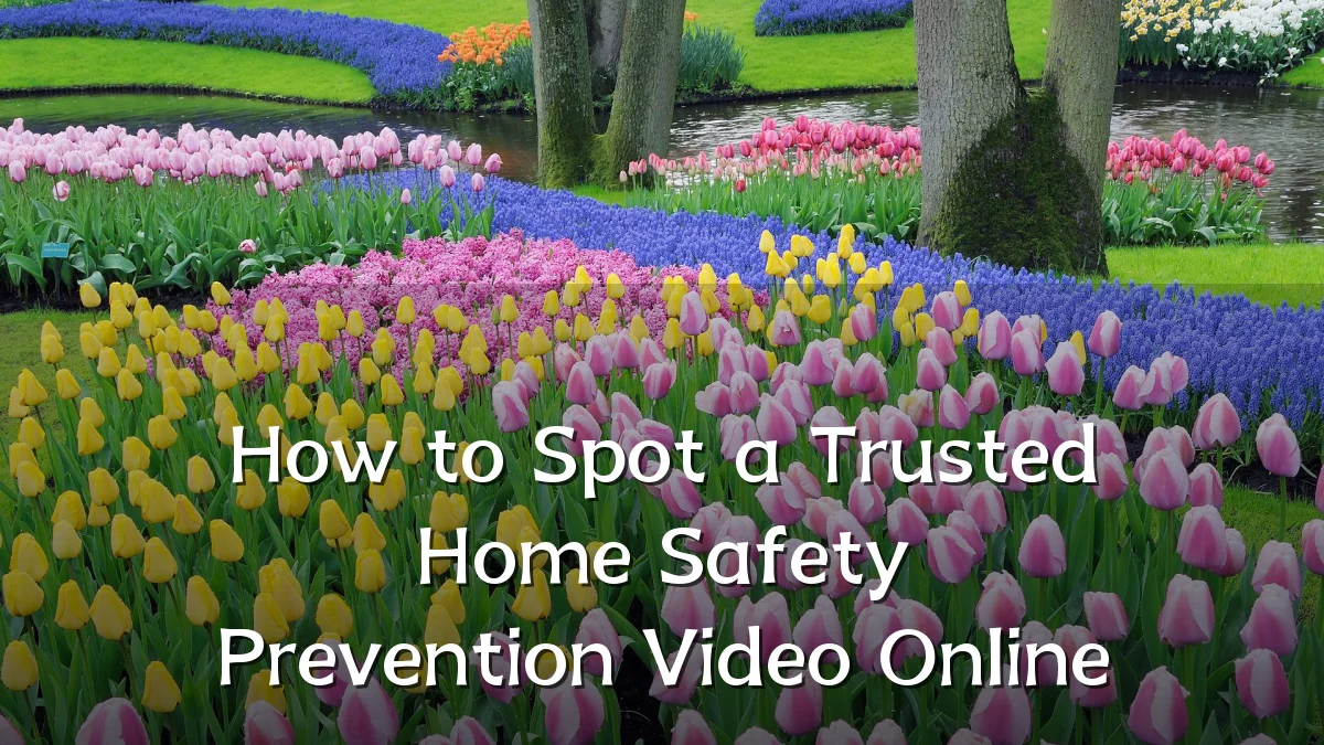 How to Spot a Trusted Home Safety Prevention Video Online