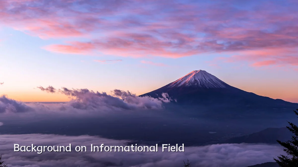 Background on Informational Field
