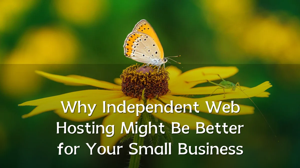 Why Independent Web Hosting Might Be Better for Your Small Business
