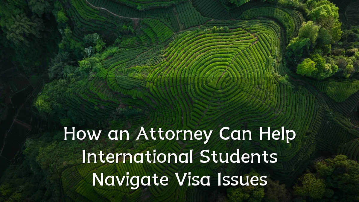 How an Attorney Can Help International Students Navigate Visa Issues