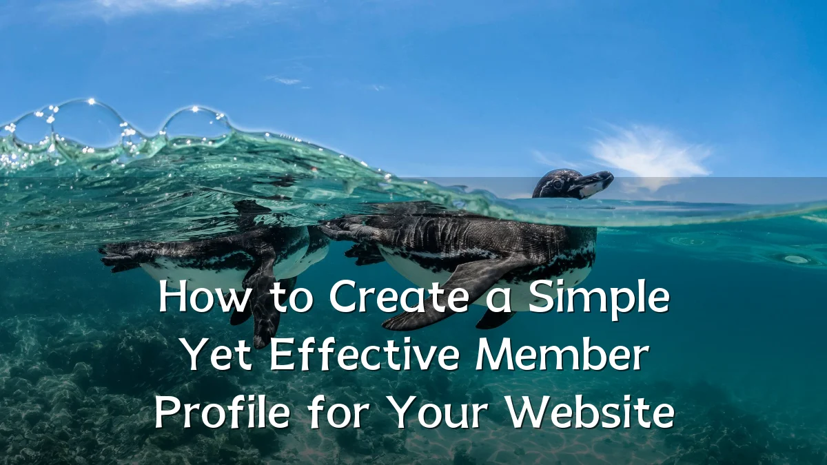 How to Create a Simple Yet Effective Member Profile for Your Website