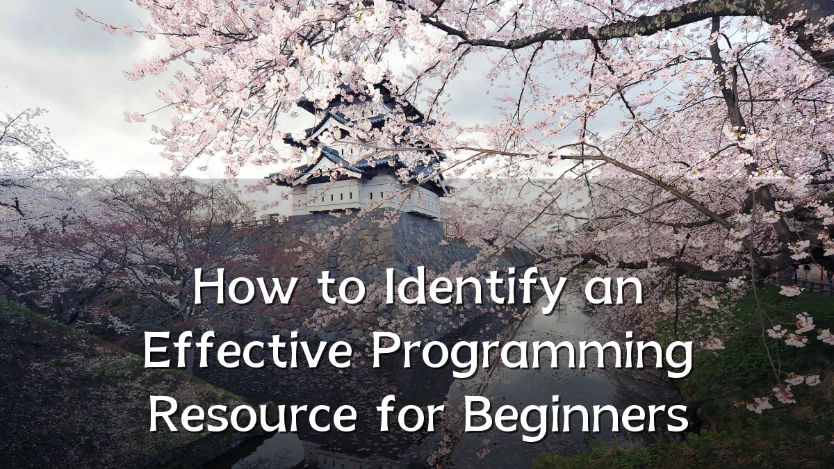 How to Identify an Effective Programming Resource for Beginners