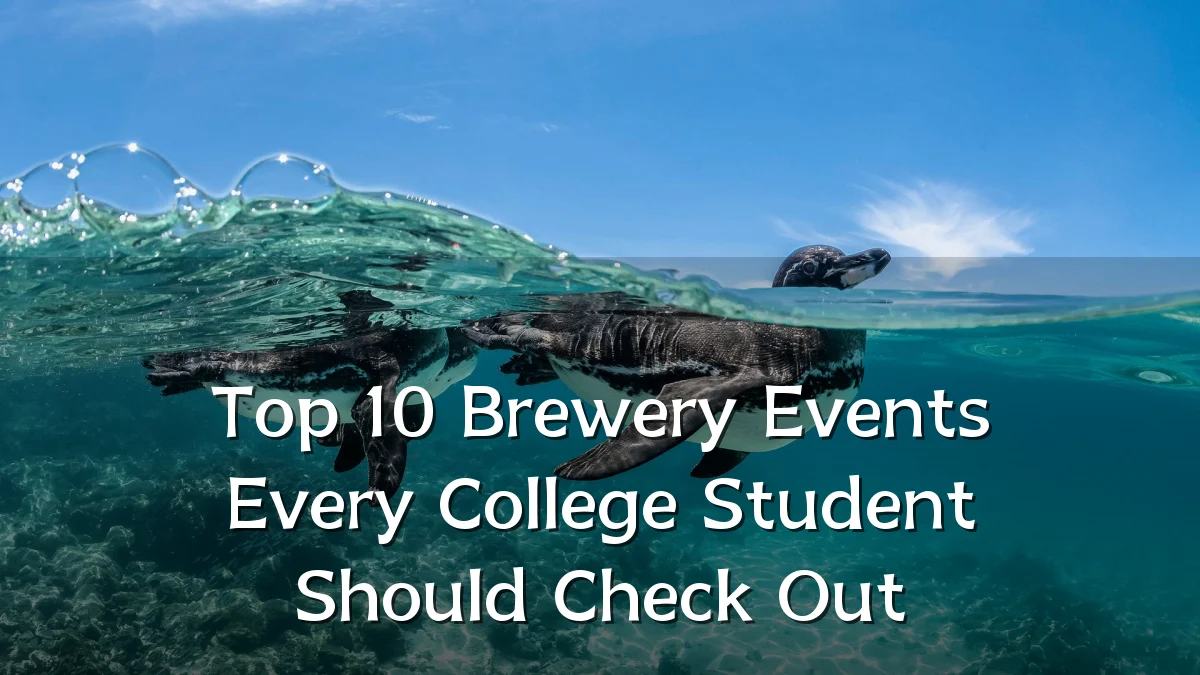 Top 10 Brewery Events Every College Student Should Check Out