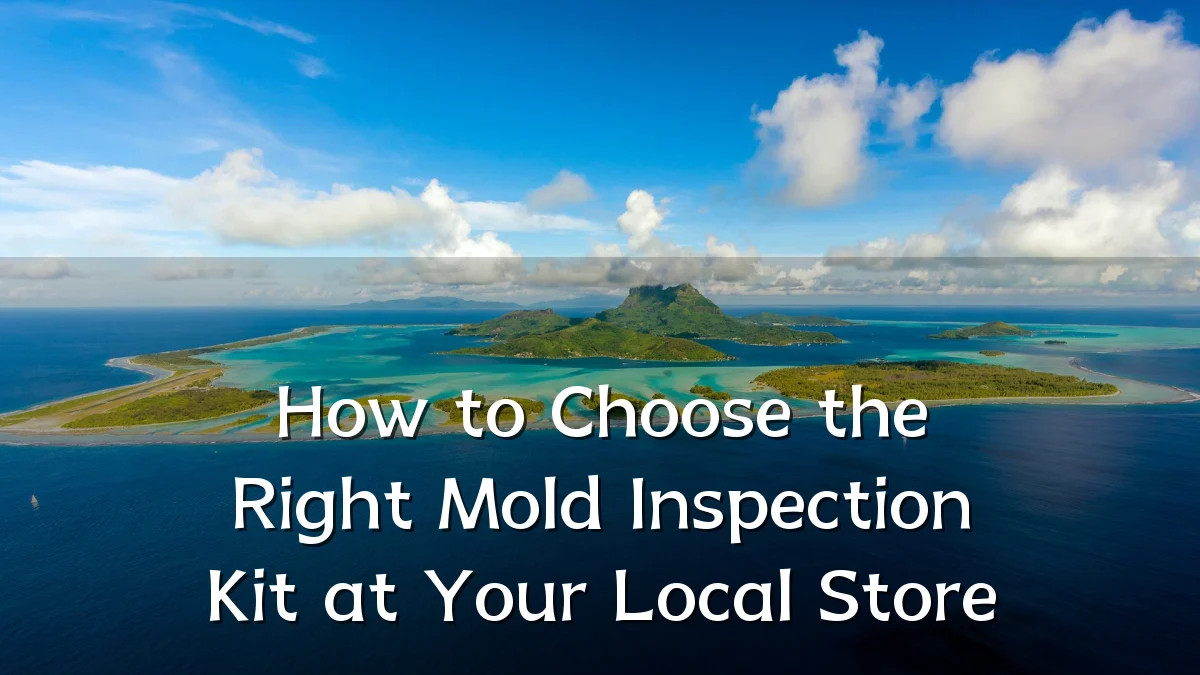 How to Choose the Right Mold Inspection Kit at Your Local Store