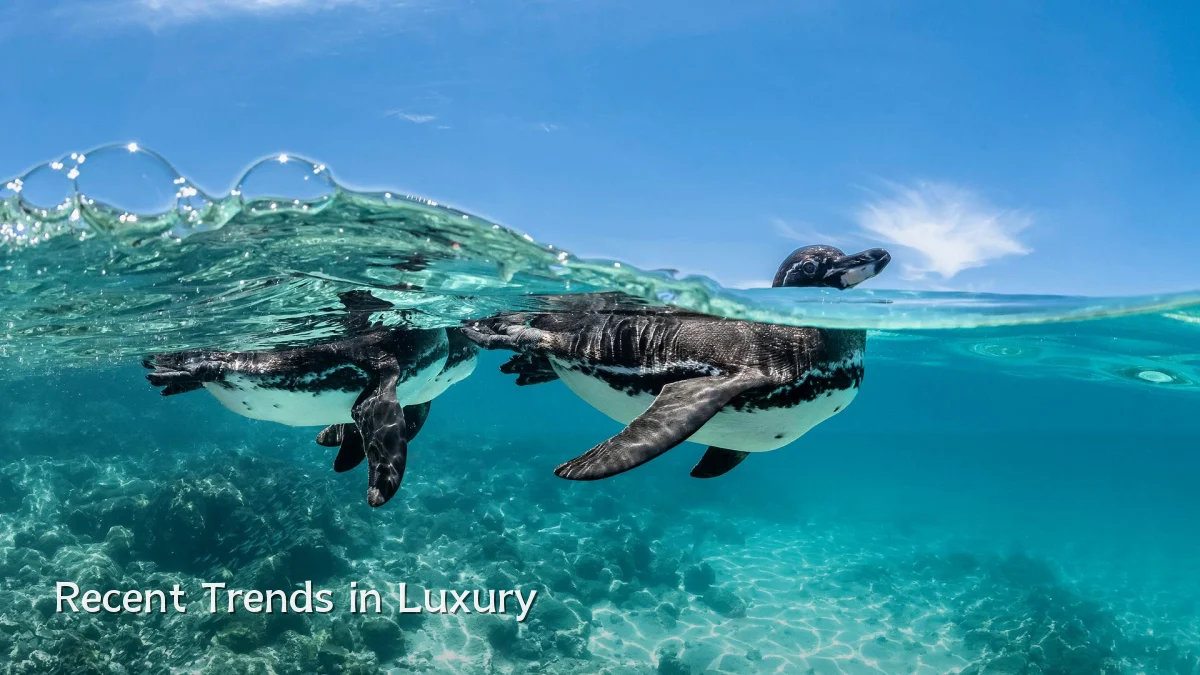 Recent Trends in Luxury